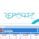 PPC Reporting Software
