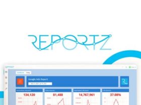 PPC Reporting Software